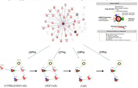 Figure 3: A visual display of the gene network connected to PTEN/TP53/CDKN1A in prostate adenocarcinoma (based on the Michigan study, Nature 2012) [24]