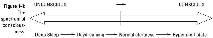 Figure 1-1:The