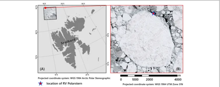 FIGURE 3 | Location of S-2 granule (A) and ice floe (B) in the Arctic Ocean on June 10, 2017.