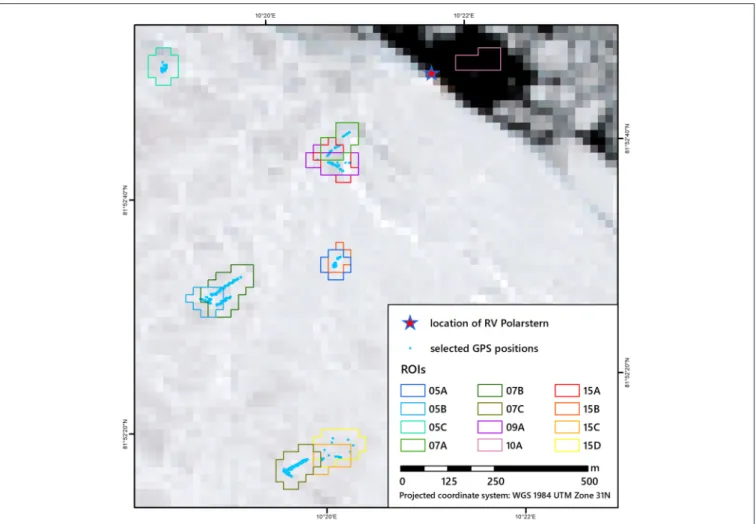 FIGURE 6 | ROI locations on the investigated floe. Background: S-2A stretched pseudo-true color RGB image (RGB: 665, 560, and 490 nm, spatial resolution: 20 m) acquired at 2017-06-10 14:58:01 UTC.