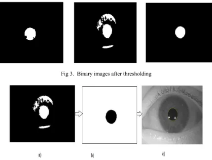 Fig 3.  Binary images after thresholding 