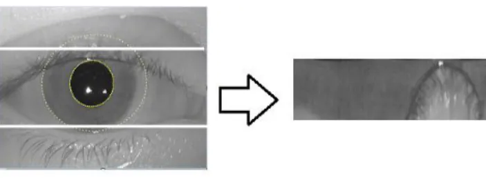 Fig .7.An example of iris normalisation 