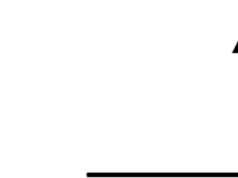 Figure 2.5: Bipolar Threshold Activation Function.