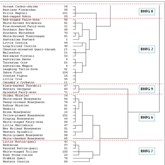 Figure 2 - (Continued) The output of the Bird habitat functional group (BHFG) classification  analysis