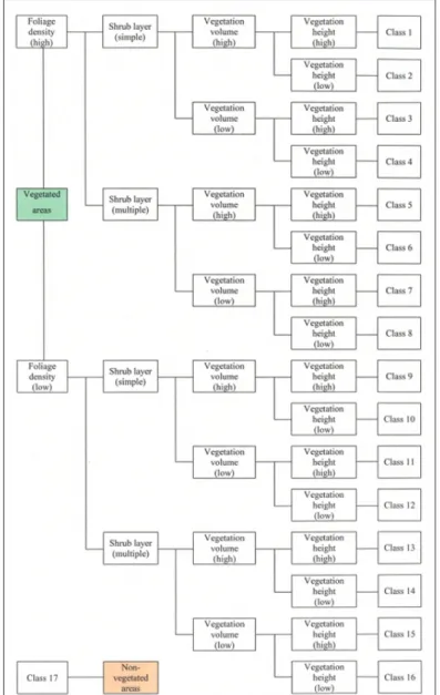 Figure 3 - The 17 Vegetation structure variable (VSV)-derived classes  from the decision tree classifier process: 16 classes for vegetated areas,  1 for non-vegetated areas