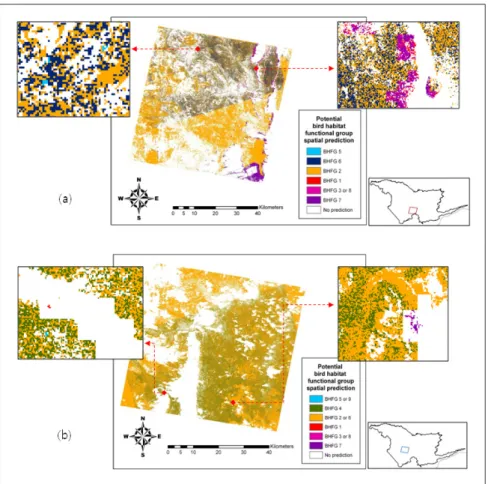 Figure  4  -  Spatial  predictions  of  potential  bird  habitat  functional  groups  within  vegetated areas for ASTER scenes 25457 (Fig