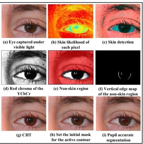 Figure 4.5: The steps of the pupillary detection algorithm for the iris images captured under visible light.