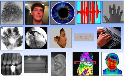 Figure 2.1: Example of physical or behavioural biometric identifiers