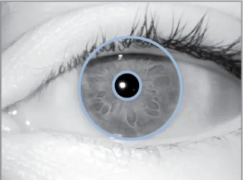 Figure 2.6: Example of iris segmentation.