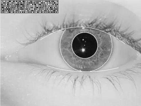 Figure 2.7: Daugman’s method: example of iris pattern.