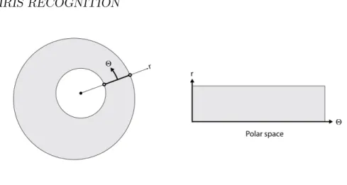 Figure 2.8: Daugman’s rubber sheet model.
