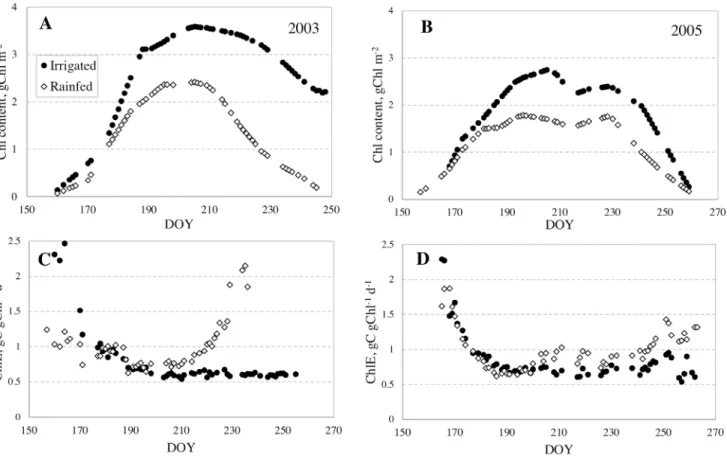 Fig. 4. Temporal behavior of canopy chlorophyll (Chl) content (A, B) and chlorophyll efficiency (C, D) at rainfed and irrigated maize in 2003 (dry year)  and 2005 (moderate weather conditions)