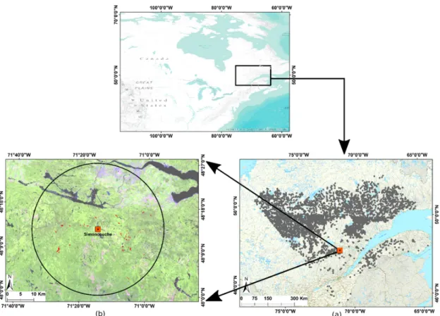 Figure 1. Location of the 5000 black spruce stands in Quebec, Canada (a) selected from two ISIN tiles  (h13 v03 and h13 v04, not shown) of MODIS, and the stand where phenological phases were measured  (b)