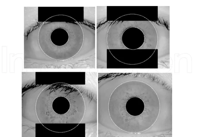 Fig. 2. Automatic segmentation of various images from the CASIA database. Black regions  denote detected eyelid and eyelash regions (Masek, 2003)