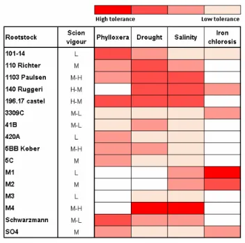 Fig  1.  Grapevine  rootstocks  and  their  response  to  abiotic  stresses.  Low  (L),  medium  (M)  and  high  (H)  vigour  of  rootstocks  are  reported  (Scion  vigour)