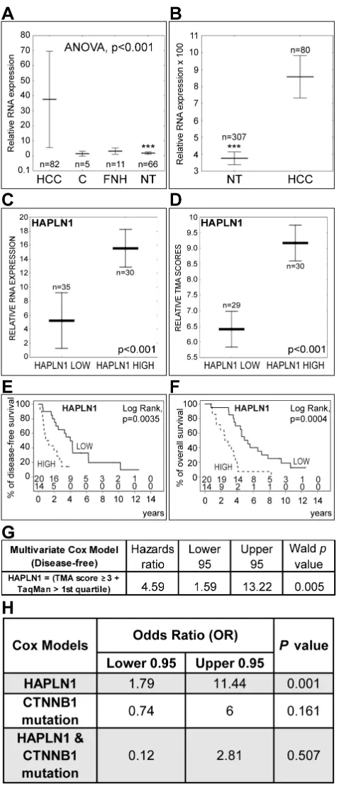 Figure 7: High HAPLN1 expression indicates bad outcome after curative HCC resection. AThe number of patients at risk at each time point is shown (proportional hazards model after adjustment for alpha-fetoprotein, vascular invasion, number of resected liver