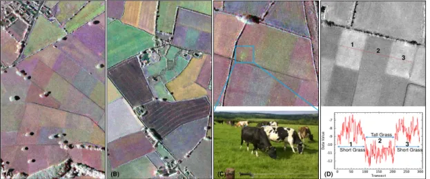 Figure 3  TerraSAR-X Staring Spotlight color composite (R: 08-06-2014, G: 19-06-2014,  B:  11-07-2014)  of  Teagasc  Curtin  Farm