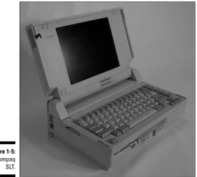Figure 1-5:The Compaq