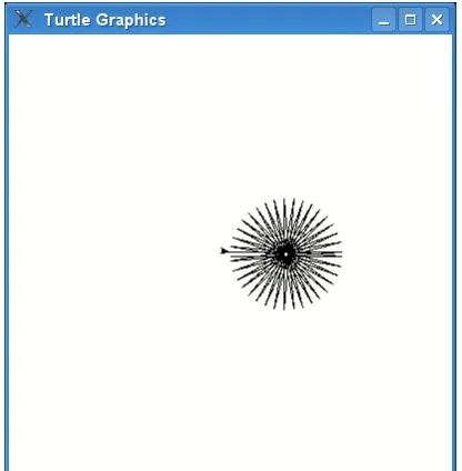 Figure 8.3: A star with a lot more points.