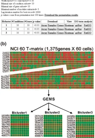 Figure 2. Illustration of GEMS output using NCI60 cDNA expression data as an example. (a) Three biclusters are detected: the numbers of genes in the  biclus-ters are 10, 11 and 10, respectively