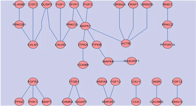 Figure 2: Subnetworks identified by the proposed network-constrained empirical Bayes method for the human brain aging gene expression data of Lu et al