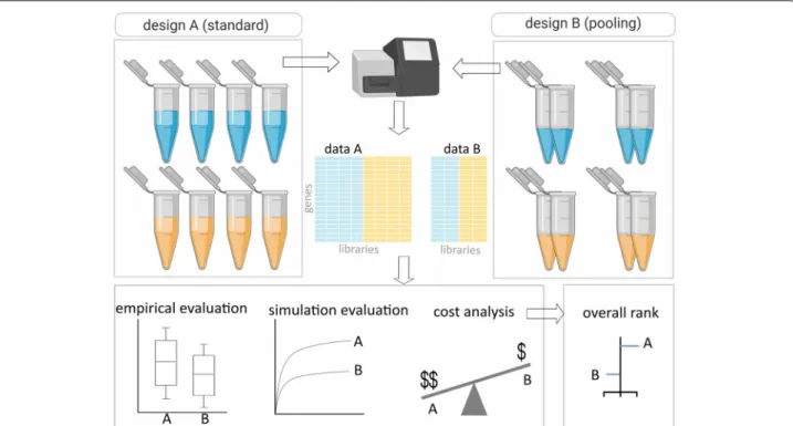 Fig. 1 Summary of the workflow. Assessment of RNA sample pooling in RNA-seq experiment involves comparison of standard (design A) and pooled (design B) experimental designs using empirical data, simulated data and total cost assessment