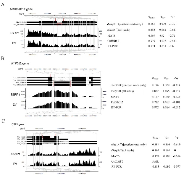 Figure 2.4 Examples comparing the estimates between rSeqDiff, MATS, Cuffdiff 2 and RT- RT-PCR assays