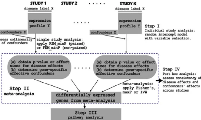 Figure 2.3: Three correlation structures of interest among disease variables X, gene expression variable Y and covariates Z that are used in the simulation