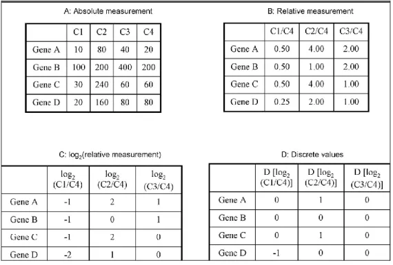 Table 2.2  Gene expression matrix 