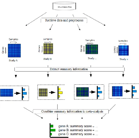 Figure 3.1  Microarray data integration at interpretative level 