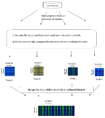 Figure 3.2  Microarray data integration with rescaling of expression values 
