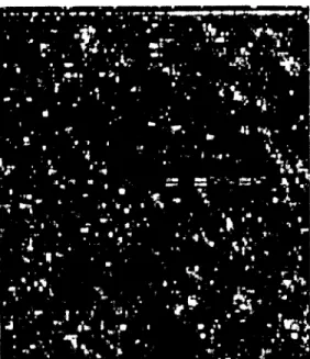 Figure  1.6 Affymetrix  microarray  image
