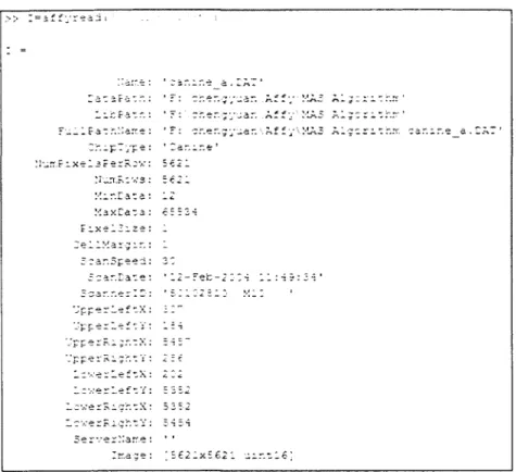 Figure  2.4  DAT  file  structure  shown  in  M ATLAB