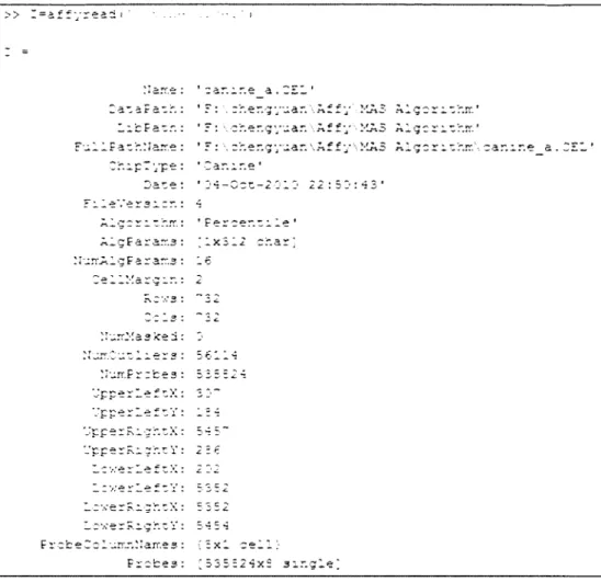 Figure  2.5  CEL  file  structure  shown  in  Matlab