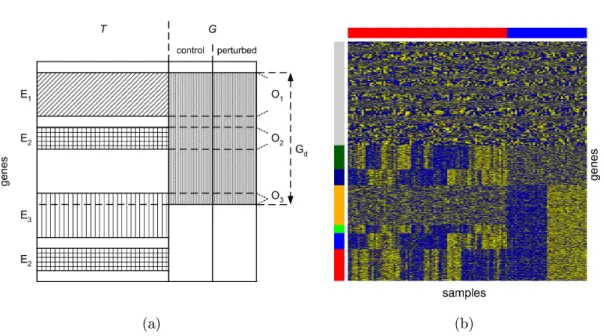 Figure 4.3: (a) Structure of the simulated data. The three clusters with non-zero signals F ij in T are named E 1 , E 2 and E 3 