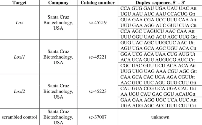Table 4. List of siRNA oligonucleotides used in knockdown experiments. 