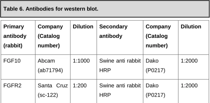Table 6. Antibodies for western blot. 