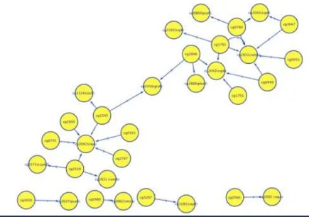 Figure 1.1 Is an image of a regulatory network of Corynebacterium glutamicum ATCC  13032 using Cytoscape