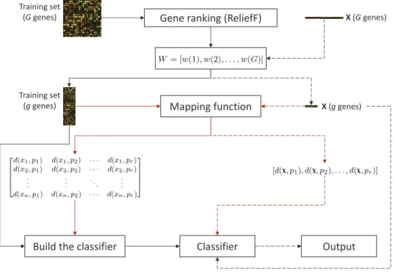 Figure 1: Flowchart of the proposed learning and classification methodology (red lines correspond to the stage for building the dissimilarity space).