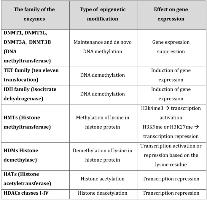 Table 2.1: Some important enzymes along with the types of modifications they cause  and their effects on gene expression