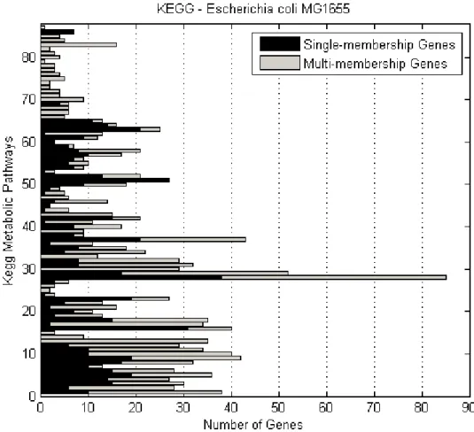 Figure  3.3  Number  of  E.coli  single-  and  multi-membership  genes  per  KEGG  metabolic pathway