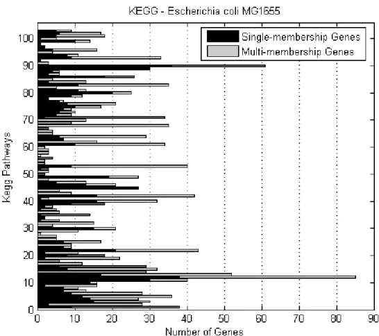 Figure  3.5  Number  of  E.coli  single-  and  multi-membership  genes  per  KEGG  biochemical pathway