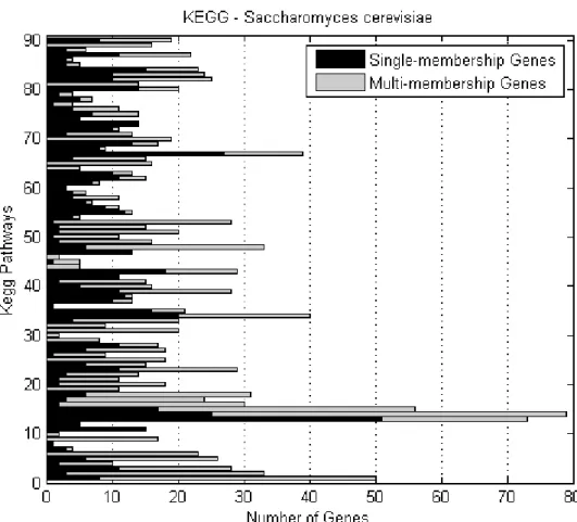 Figure  3.9  Number  of  S.cerevisiae   single-  and  multi-membership  genes  per  KEGG  biochemical pathway