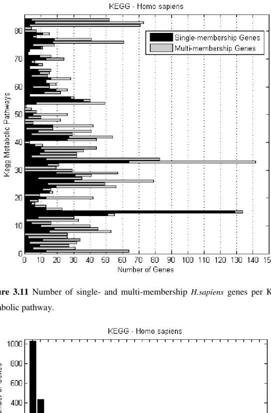 Figure  3.11  Number  of  single-  and  multi-membership  H.sapiens   genes  per  KEGG  metabolic pathway