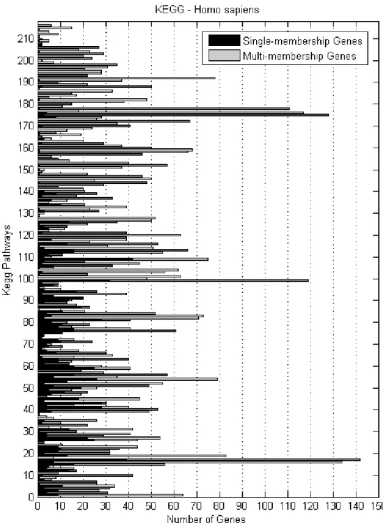 Figure  3.13  Number  of  single-  and  multi-membership  H.sapiens   genes  per  KEGG  biochemical pathway