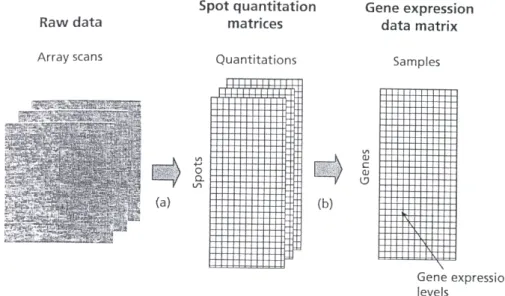 Figure 1.10: Processing of raw data into a gene expression matrix.