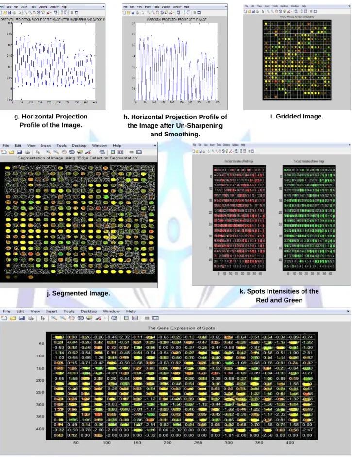 Figure 4:The effect of applying the proposed microarray quantification method  on a good image