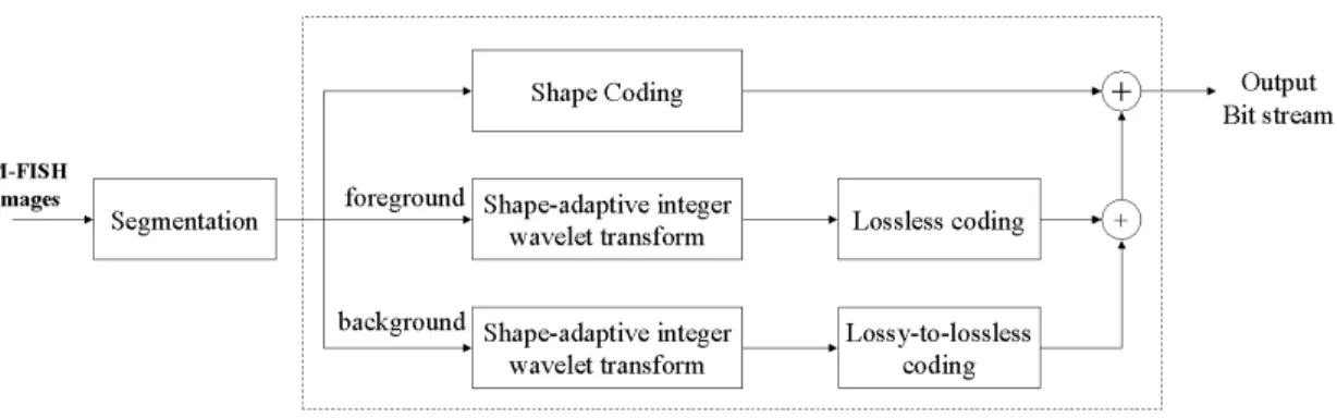 Fig. 3. Block diagram of the encoder in EMIC for M-FISH image compression.