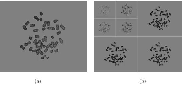 Fig. 4 shows the foreground objects in Fig. 1 (a) and their two-level critically sam- sam-pled integer wavelet transforms via lifting