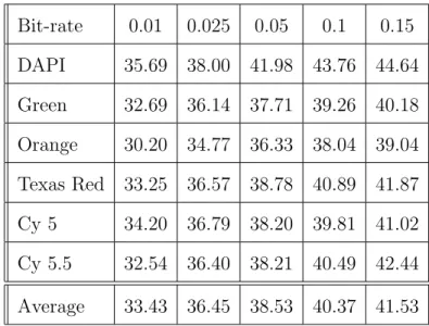 Table IV. PSNR (in dB) of each channel of M-FISH image set “A0101XY” recon- recon-structed at different bit-rates in bits/pixel/channel